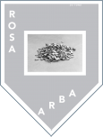 Satellite 5 - Rosa Barba