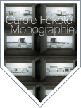 Carole Fékété - Monographie