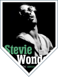 Stevie Wonder