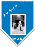 Satellite - Tamar Guimarães